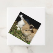 かわいい小さなフワフワのバンニー フェイバータグ (インサイチュ)