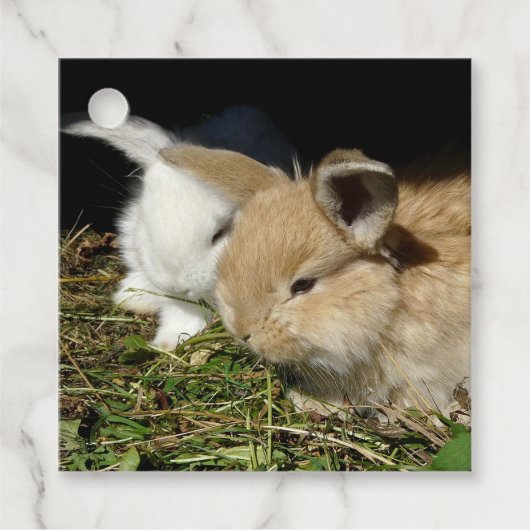 かわいい小さなフワフワのバンニー フェイバータグ (正面)