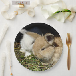 かわいい小さなフワフワのバンニー ペーパープレート