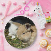 かわいい小さなフワフワのバンニー ペーパープレート (パーティー)