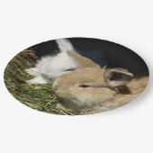 かわいい小さなフワフワのバンニー ペーパープレート (アングル)