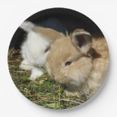 かわいい小さなフワフワのバンニー ペーパープレート (正面)