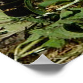 かわいい小さなフワフワのバンニー ポスター (角)