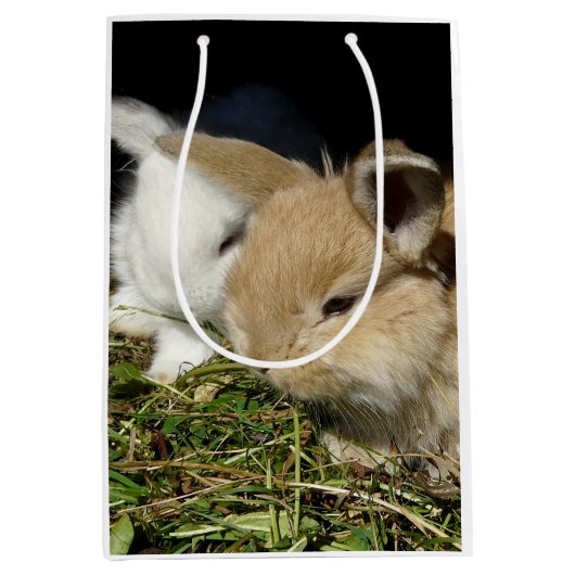 かわいい小さなフワフワのバンニー ミディアムペーパーバッグ (正面)