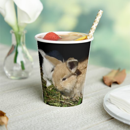 かわいい小さなフワフワのバンニー 紙コップ (インサイチュ)