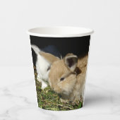 かわいい小さなフワフワのバンニー 紙コップ (裏面)