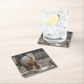 かわいい小さなベージュ恐竜コースター スクエアペーパーコースター (インサイチュ)