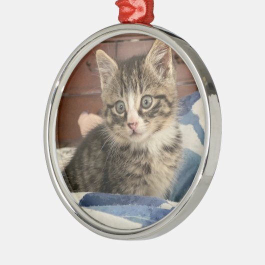 かわいい小さな子猫のパーソナライズされた写真クリスマス メタルオーナメント (左)