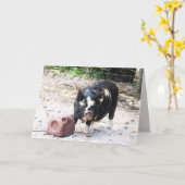 かわいい小さな子豚 – ファームライフ挨拶カード カード (黄色い花)