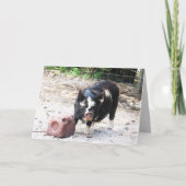 かわいい小さな子豚 – ファームライフ挨拶カード カード (正面)