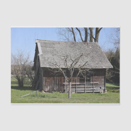 かわいい小さな木が下りキャビン走の横に立っている 薄葉紙 (正面)