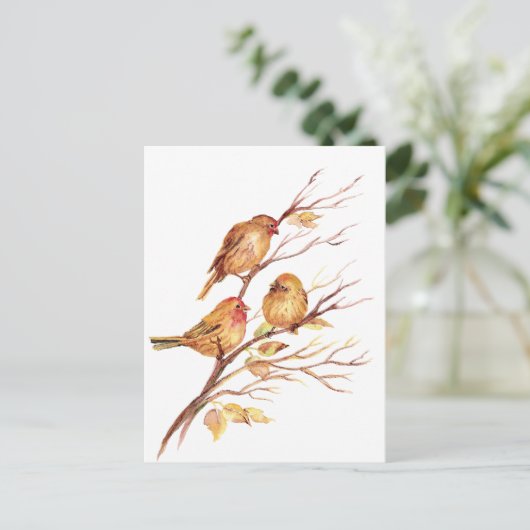 かわいい小さな水の色のスズメバチの園鳥 ポストカード (スタンド正面)