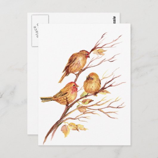 かわいい小さな水の色のスズメバチの園鳥 ポストカード (正面/裏面)