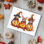 かわいい小さな水の色のネズミハロウィンカボチャ ポストカード<br><div class="desc">このデザインはパーソナライズされた、[編集]デザインを選択して行う。他のアイテムに転送することもできます。colorflowcreations@gmail.comで連絡は、このデザインを別の製品にインストールしたり、このデザインのサポートが必要なもし場合は、ページの上部にあるチャットオプションを使用する。www.facebook.com/colorflowcreations、www.instagram.com/colorflowcreations、www.twitter.com/colorflowart、後を追およびwww.pinterest.com/colorflowcreationsで自分のデザインや自分の情報を見る。</div>