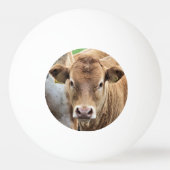 かわいい小さな牛 卓球ボール (正面)