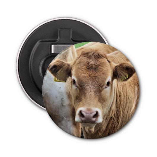 かわいい小さな牛 栓抜き (正面)