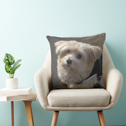 かわいい小さな犬の装飾用クッション クッション (椅子)