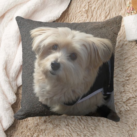 かわいい小さな犬の装飾用クッション クッション (ブランケット)