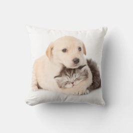 かわいい小さな猫が犬の手で眠る クッション