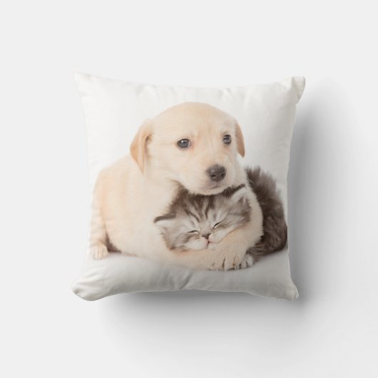 かわいい小さな猫が犬の手で眠る クッション (正面)