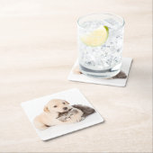 かわいい小さな猫が犬の手で眠る スクエアペーパーコースター (インサイチュ)