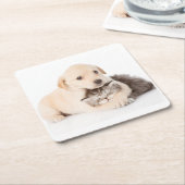 かわいい小さな猫が犬の手で眠る スクエアペーパーコースター (アングル)