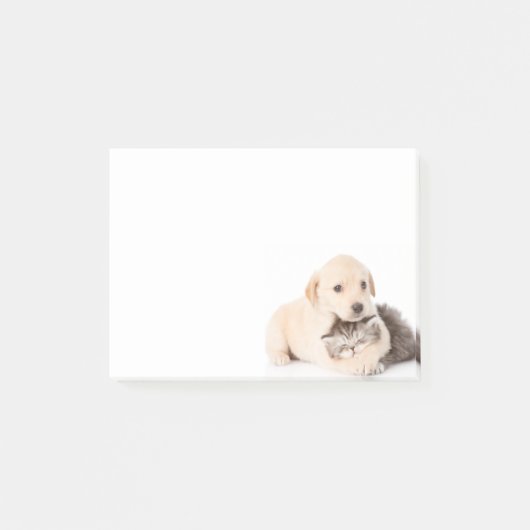 かわいい小さな猫が犬の手で眠る ポストイット (正面)