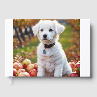 かわいい小さな白い子犬が1匹シッターにいる ゲストブック