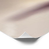 かわいい小さな白い子猫 ポスター (コーナー)