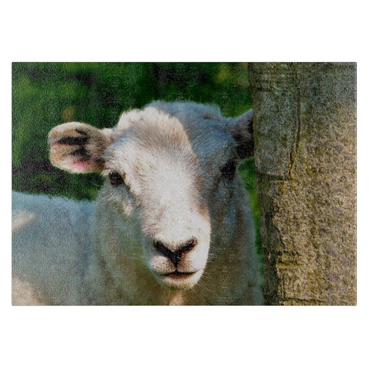 かわいい小さな羊 カッティングボード (正面)