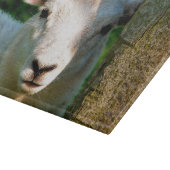 かわいい小さな羊 カッティングボード (角)