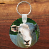 かわいい小さな羊 キーホルダー (正面)