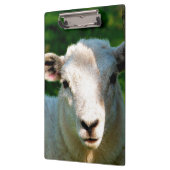 かわいい小さな羊 クリップボード (左)