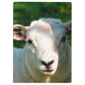 かわいい小さな羊 クリップボード (裏面)