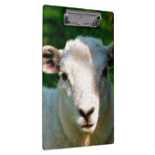 かわいい小さな羊 クリップボード (右)