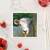 かわいい小さな羊 スタンダードカクテルナプキン (インサイチュ)