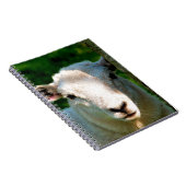 かわいい小さな羊 ノートブック (右側)