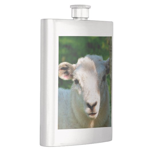 かわいい小さな羊 フラスク (右)