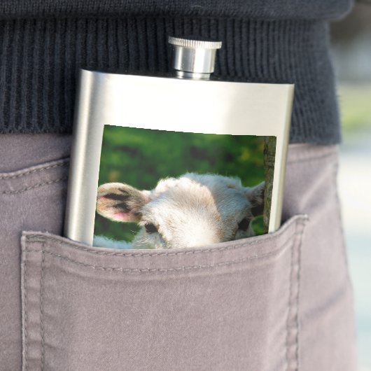 かわいい小さな羊 フラスク (インサイチュ)