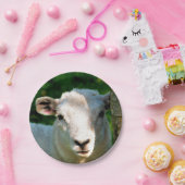 かわいい小さな羊 ペーパープレート (パーティー)