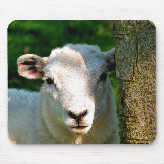 かわいい小さな羊 マウスパッド (正面)