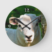 かわいい小さな羊 ラウンド壁時計 (正面)