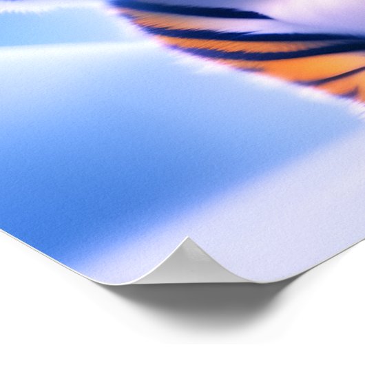 かわいい小さな虎の子 ポスター (角)