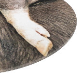 かわいい小さな豚 カッティングボード (角)