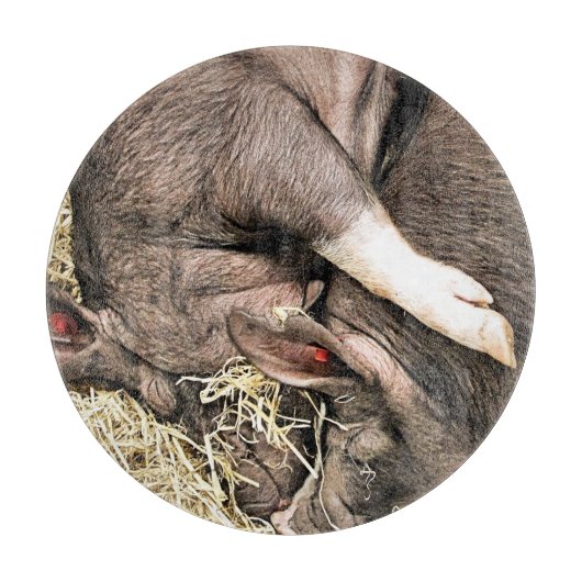 かわいい小さな豚 カッティングボード (正面)