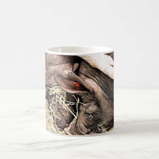 かわいい小さな豚 コーヒーマグカップ (中央)