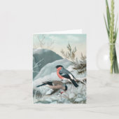 かわいい小さな鳥 – ブルフィンチ，アート カード (正面)