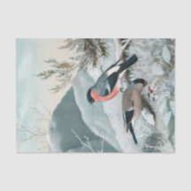 かわいい小さな鳥 – ブルフィンチ，アート