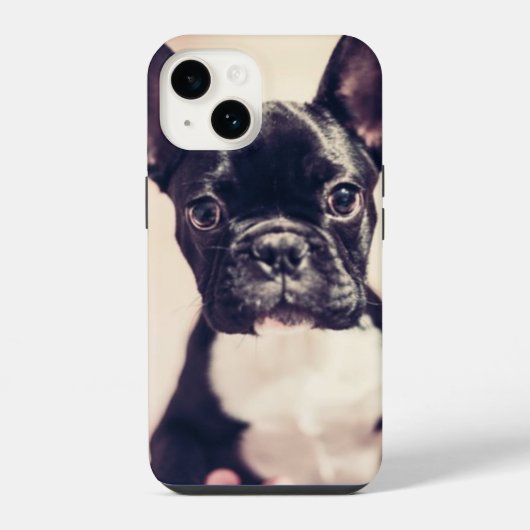 かわいい小さな黒と白の子犬 iPhoneケース (裏面)