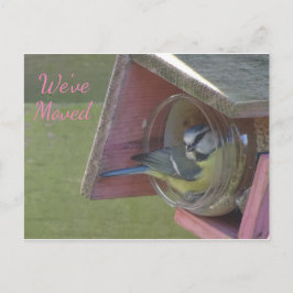 かわいい小カラフル鳥引っ越しましたはがき ポストカード